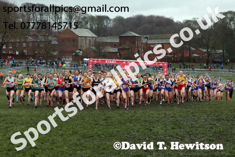Senior girls 2019 New Balance English Schools Cross Country Champs, Temple Newsam, Leeds. Photo:  David T. Hewitson/Sports for All Pics